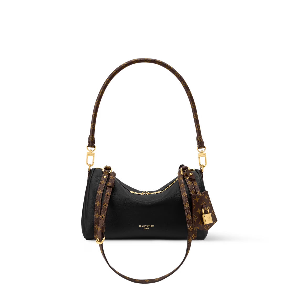 Hand-carry ladies bag